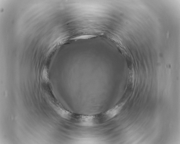 X0000088880143200706221824