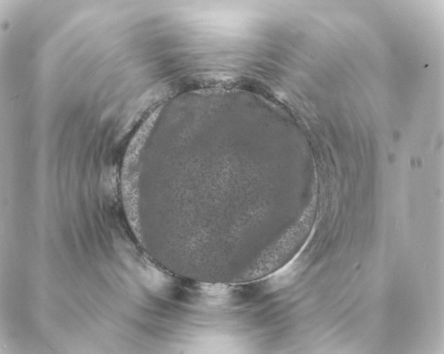 X0000088880144200706221824