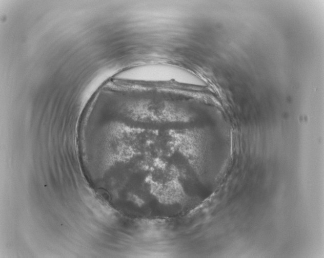 X0000088880147200706221823