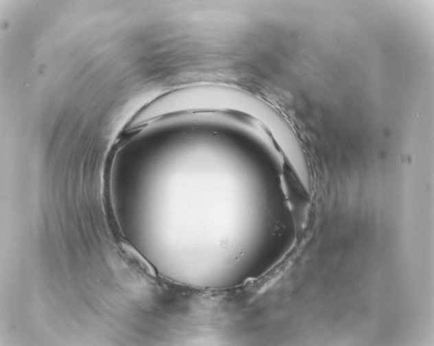 X0000088880148200706221823