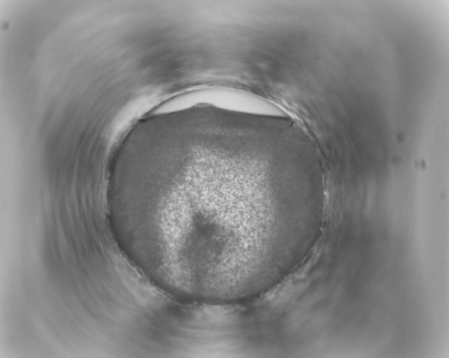 X0000088880149200706221823