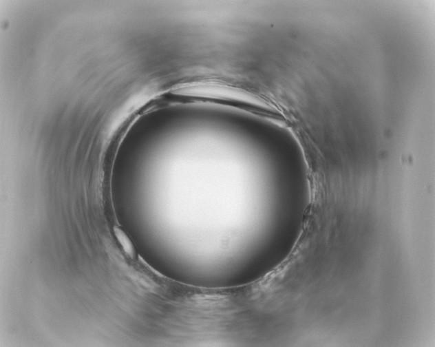 X0000088880150200706221823