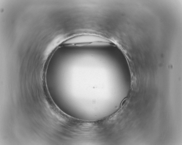 X0000088880151200706221823