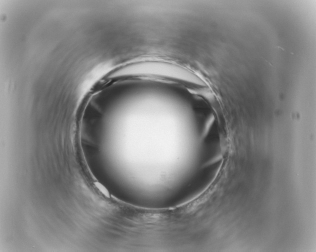 X0000088880152200706221823