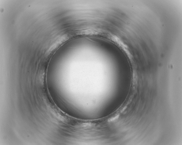 X0000088880153200706221823