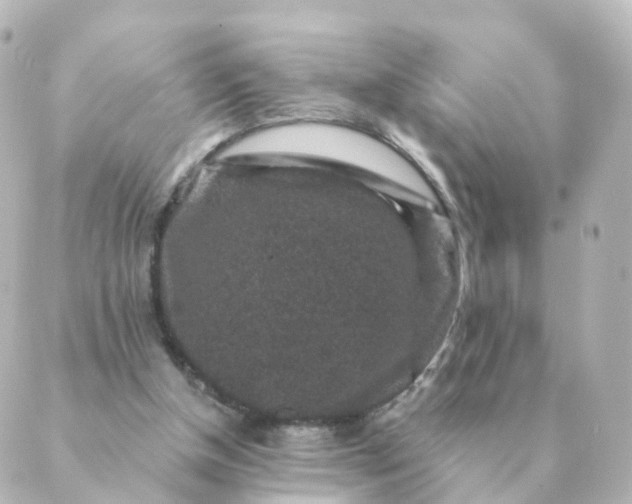 X0000088880154200706221823