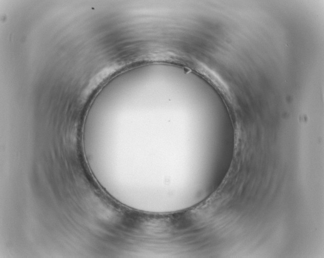 X0000088880155200706221823