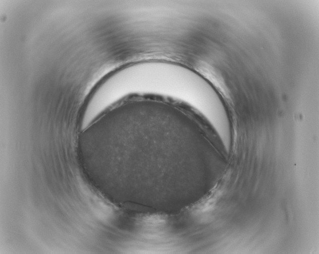 X0000088880156200706221823