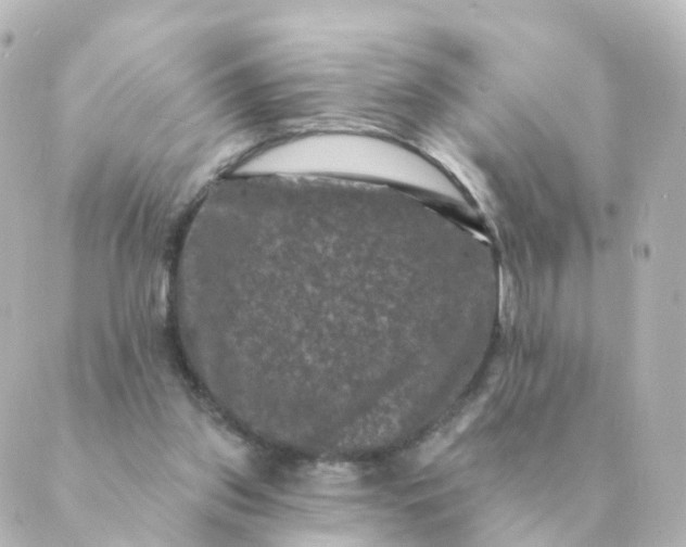 X0000088880157200706221823