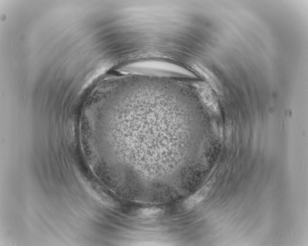 X0000088880158200706221823