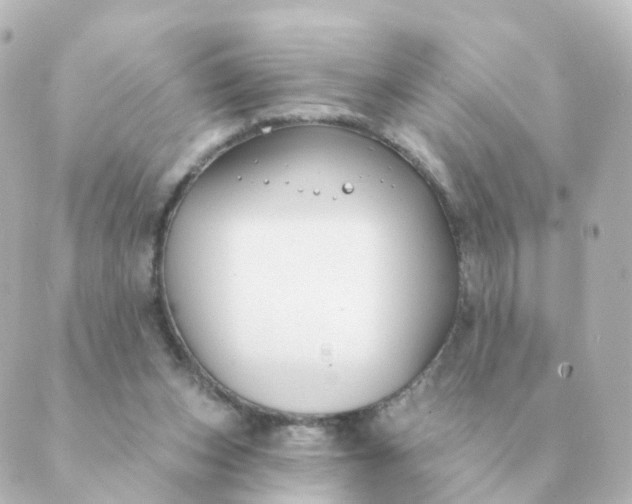 X0000088880159200706221823