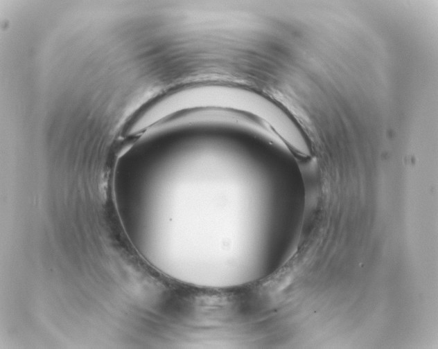 X0000088880160200706221823