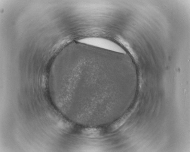 X0000088880161200706221823