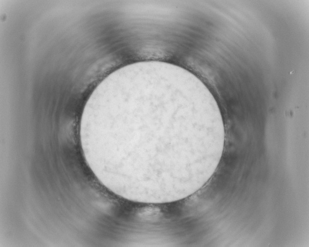 X0000088880162200706221823