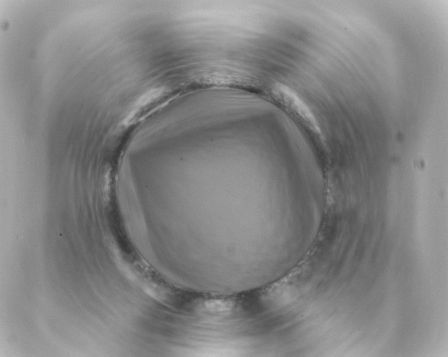 X0000088880163200706221823