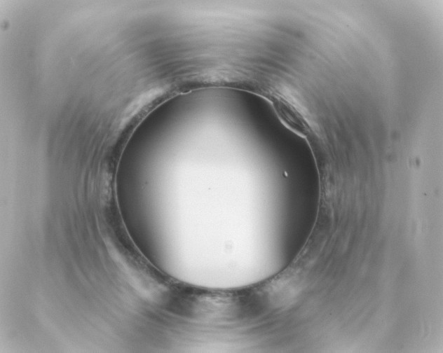 X0000088880164200706221823