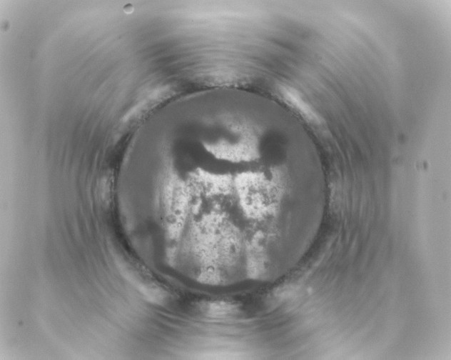 X0000088880165200706221823