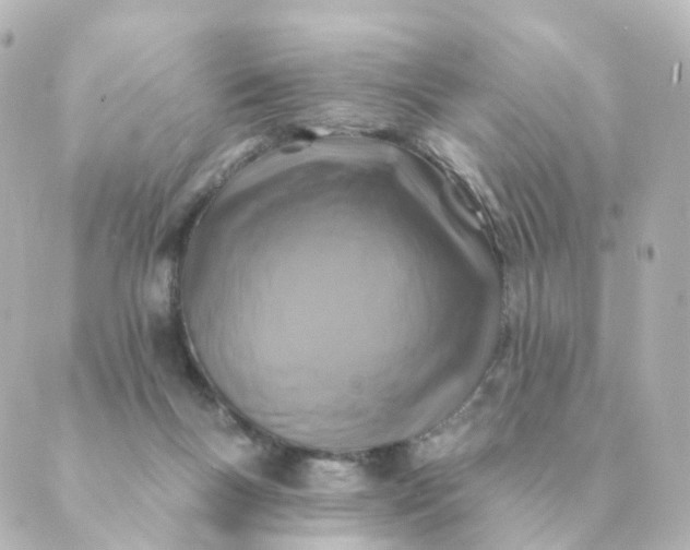 X0000088880167200706221823