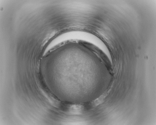 X0000088880168200706221823