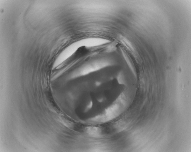 X0000088880169200706221823