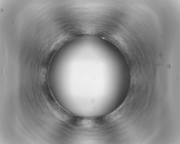 X0000088880171200706221823