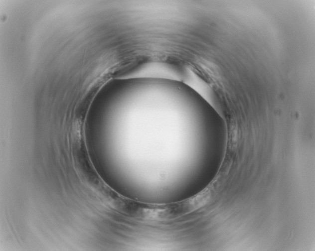 X0000088880172200706221823