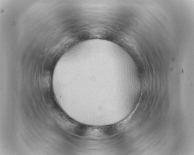 X0000088880174200706221823