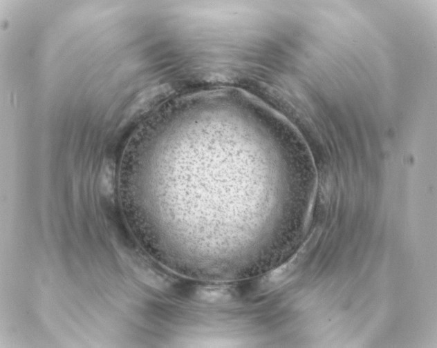 X0000088880175200706221823