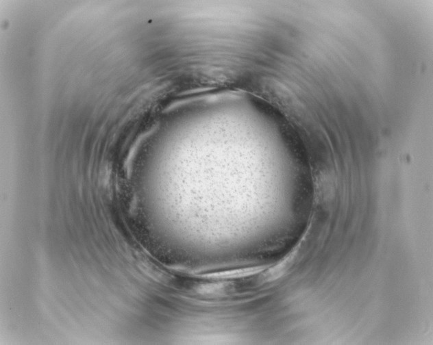 X0000088880178200706221823