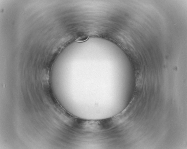 X0000088880179200706221823