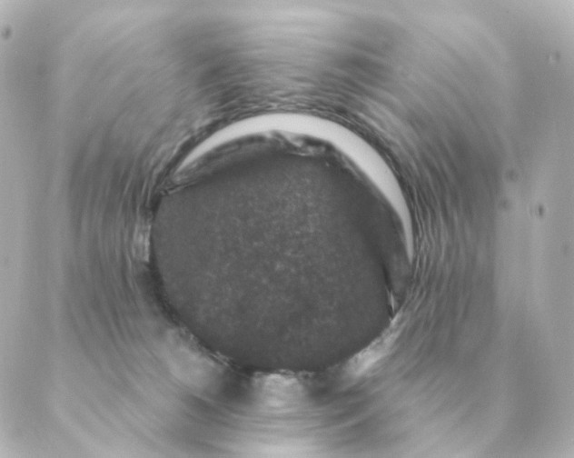 X0000088880180200706221823