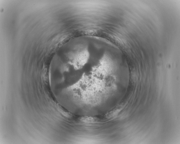 X0000088880181200706221823