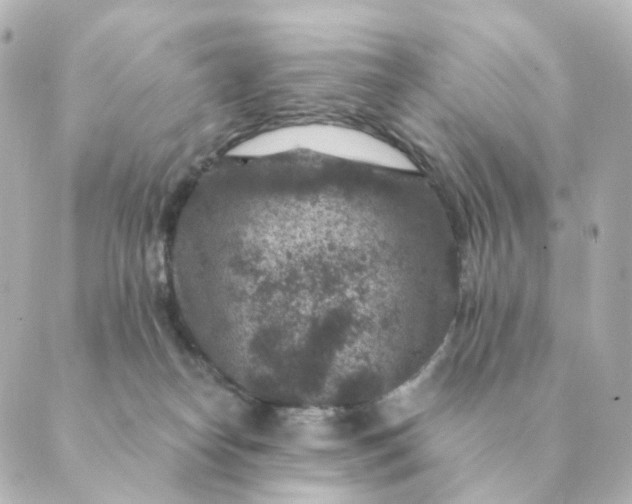 X0000088880182200706221823