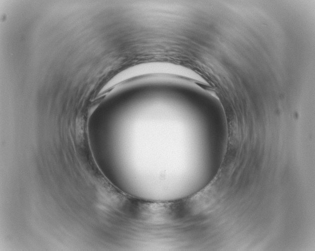 X0000088880184200706221823