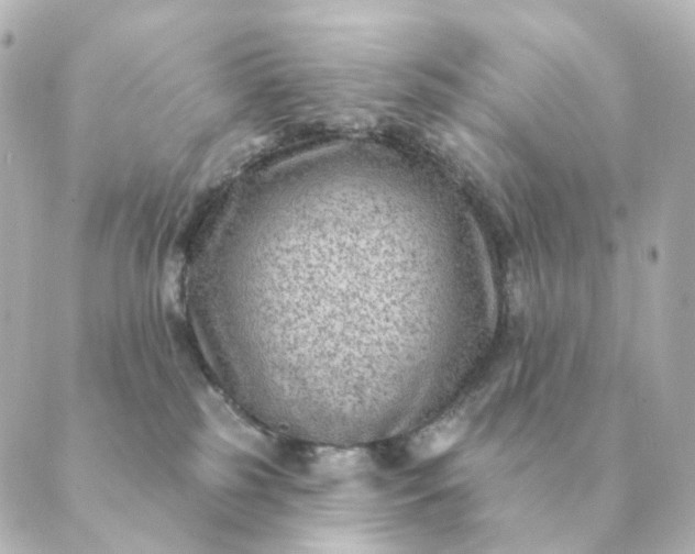 X0000088880185200706221824