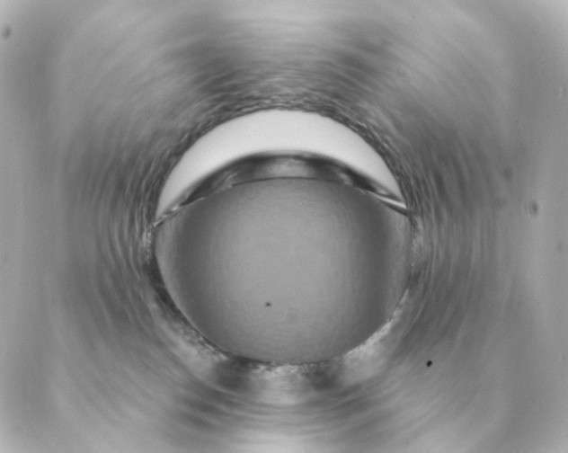 X0000088880186200706221824