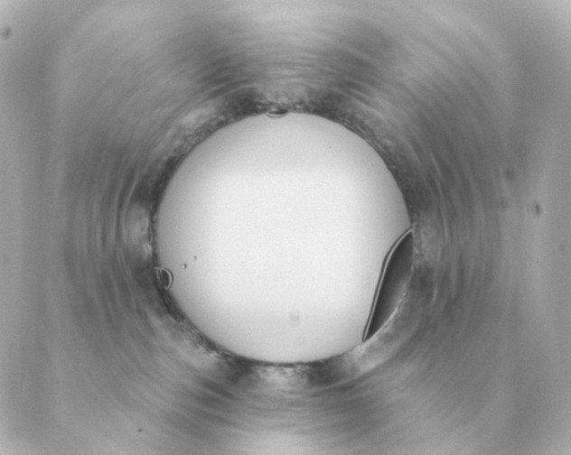 X0000088880187200706221824