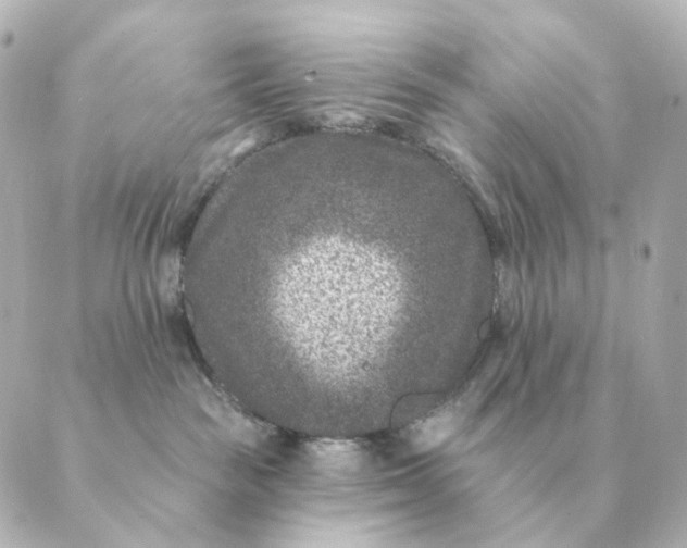 X0000088880189200706221824