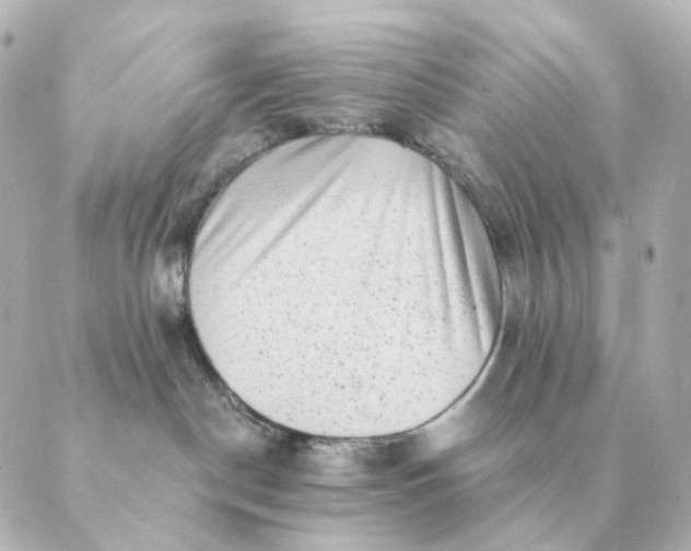 X0000088880190200706221824