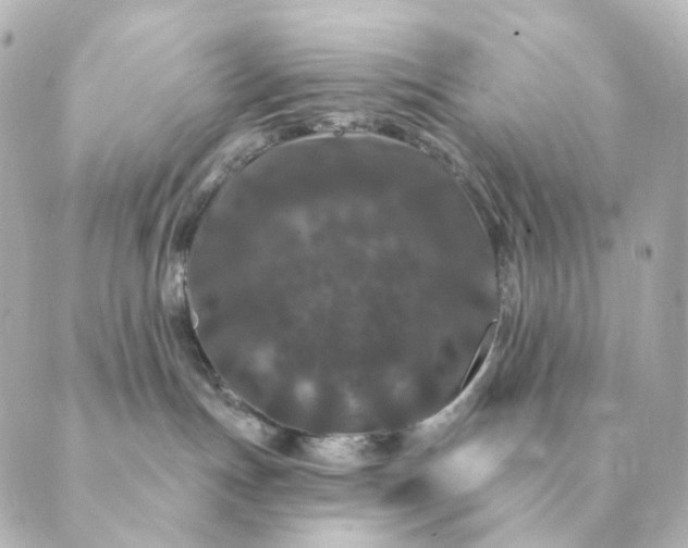 X0000088880191200706221824