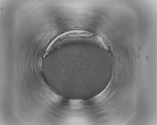 X0000088880192200706221824