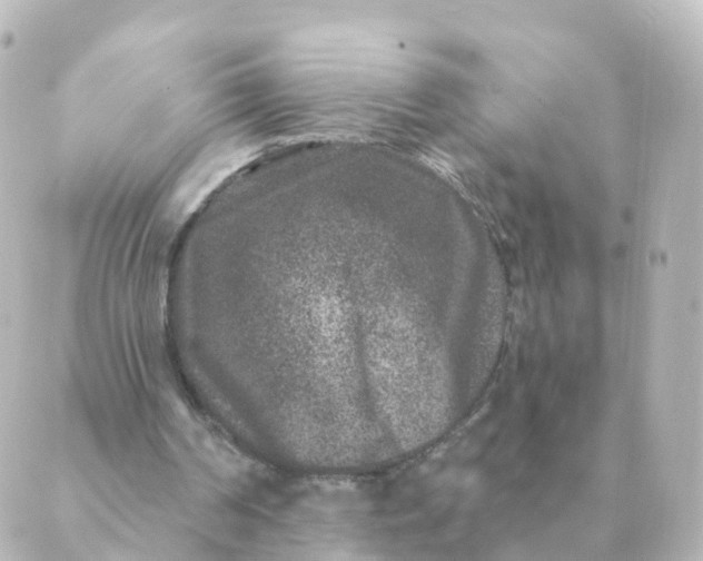 X0000088880194200706221823