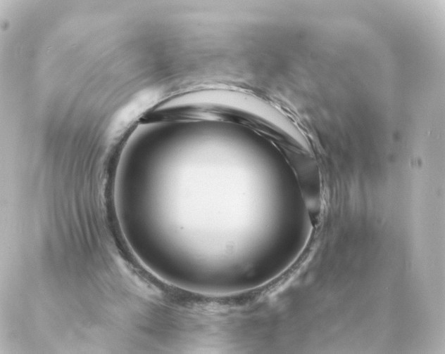 X0000088880197200706221823