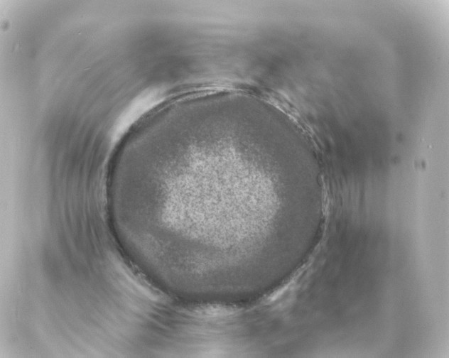 X0000088880198200706221823