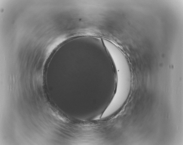 X0000088880200200706221823