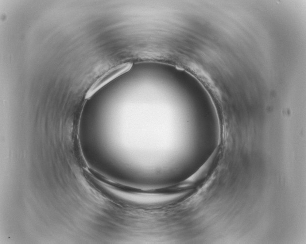 X0000088880201200706221823