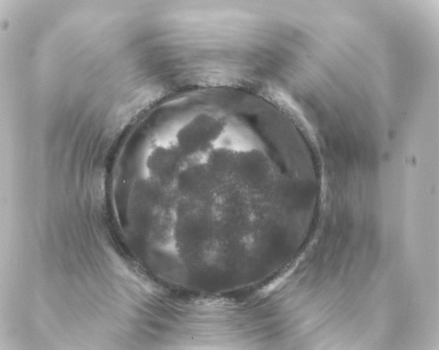 X0000088880202200706221823