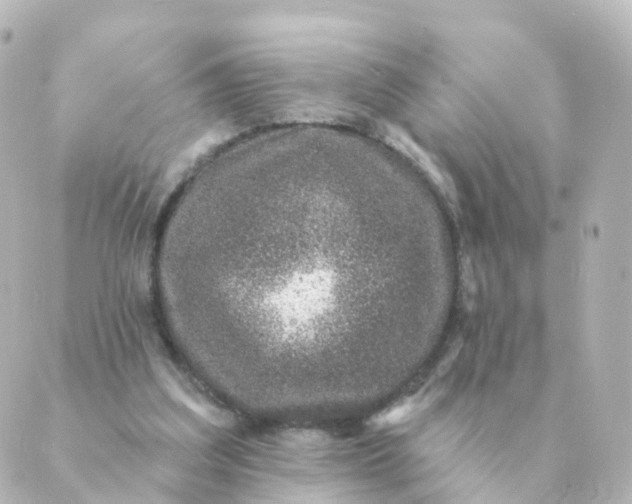 X0000088880203200706221823