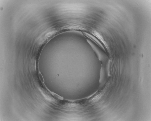 X0000088880205200706221823