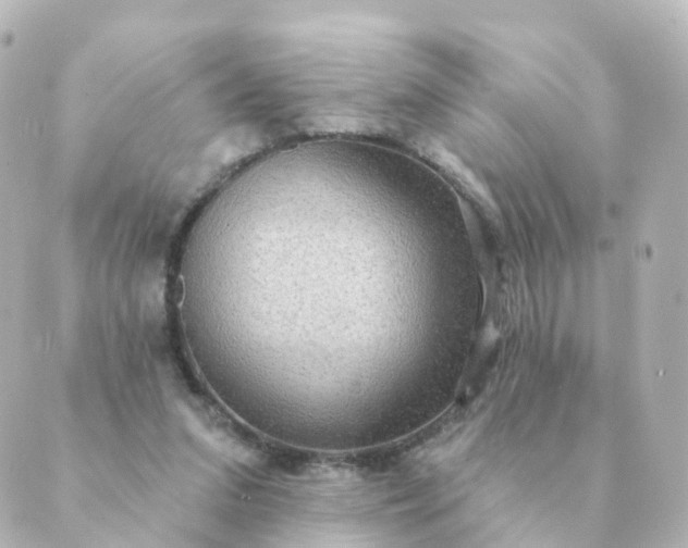 X0000088880207200706221823